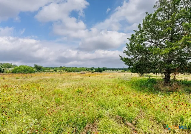 Photo 4 of House for sale at 51 County Rd 471, Nixon, TX 78140 | MLS# 615849 | Listing updated on 2026-06-04