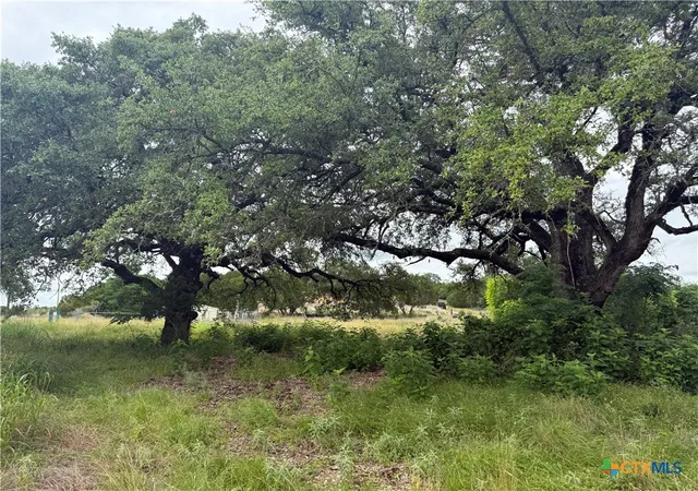 3rd image of 16350 Cedar Valley Rd, Salado, TX 76571 | MLS# 615861