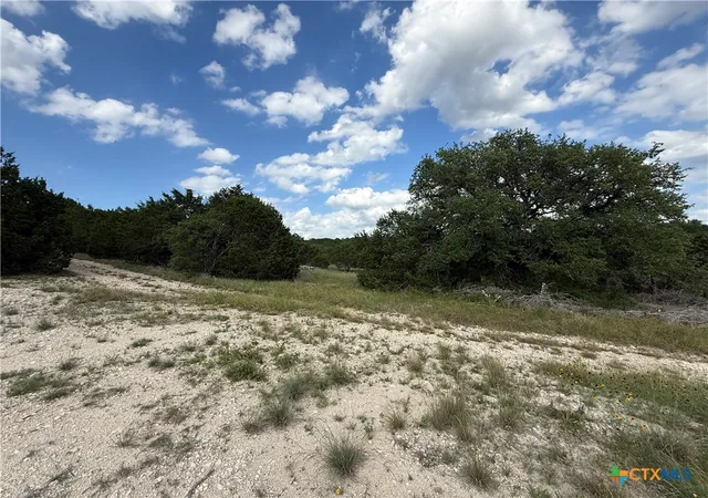 4th image of 16350 Cedar Valley Rd, Salado, TX 76571 | MLS# 615861