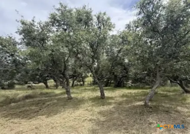 Photo 3 of Land for sale at 4215 Sunset Cliff Rd, Burnet, TX 78611 | MLS# 615982 | Listing updated on 2026-06-08