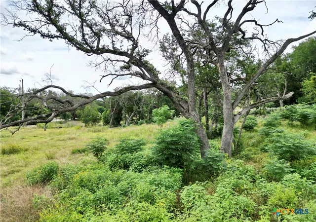 Photo 3 of Land for sale at 529 25th Avenue, Belton, TX 76513 | MLS# 615847 | Listing updated on 2026-06-18