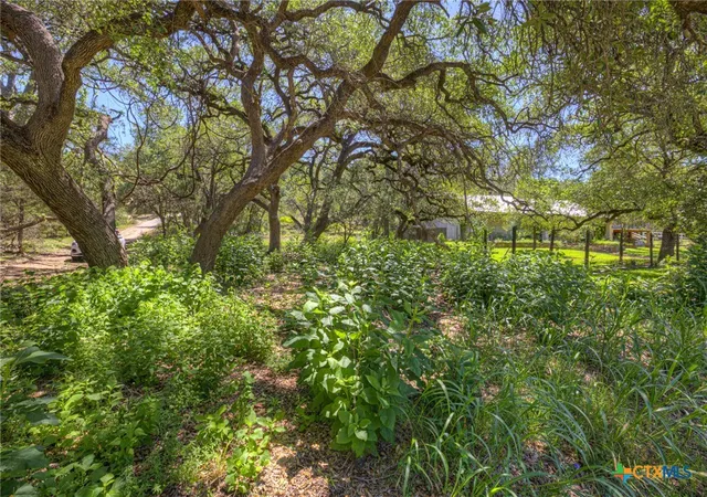 Photo 3 of Land for sale at 130 Lazy Leaf, Wimberley, TX 78676 | MLS# 615572 | Listing updated on 2026-07-15