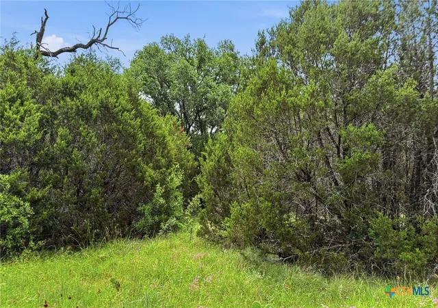 Homes for sale in Evant, TX | Lot 136 Ph 6 Pr 42101, Evant, TX 76525 | MLS# 616077