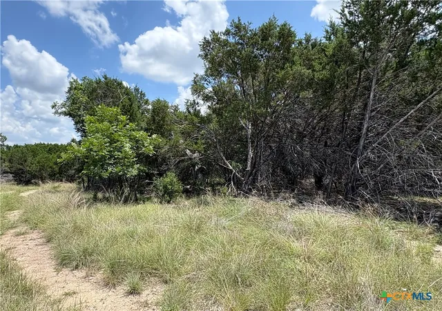 Photo 1 of Land for sale at 317 County Rd 3062, Lampasas, TX 76550 | MLS# 616259 | Listing updated on 2026-06-09