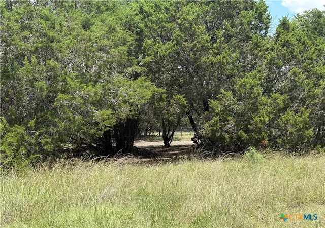 Photo 3 of Land for sale at 317 County Rd 3062, Lampasas, TX 76550 | MLS# 616259 | Listing updated on 2026-06-09