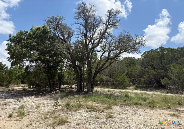 Photo 3 of Land for sale at 317 County Rd 3062, Lampasas, TX 76550 | MLS# 616259 | Listing updated on 2026-06-09