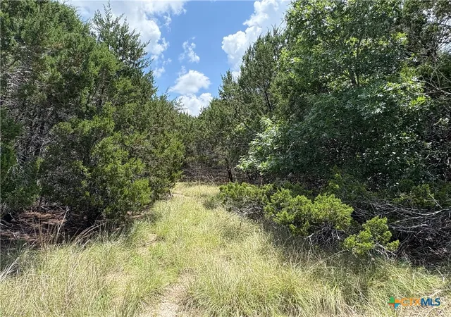 Photo 4 of Land for sale at 317 County Rd 3062, Lampasas, TX 76550 | MLS# 616259 | Listing updated on 2026-06-09