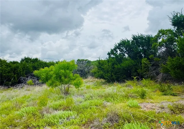 Photo 4 of Land for sale at 1780 County Rd 147, Gatesville, TX 76528 | MLS# 616188 | Listing updated on 2026-10-08