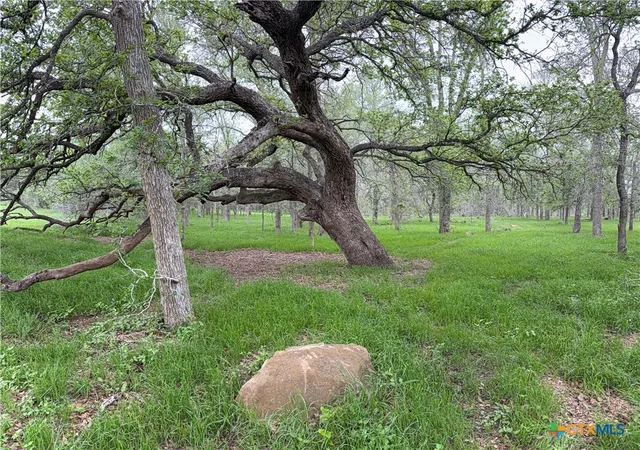 Homes for sale in Waelder, TX | 958 County Road 456, Waelder, TX 78959 | MLS# 616434