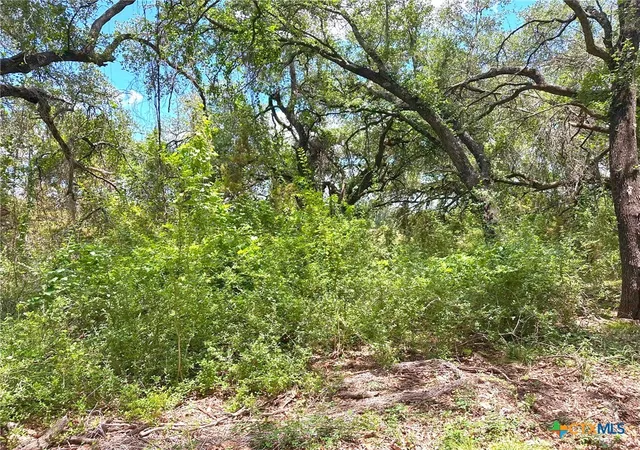 32nd image of 1231 Pitchfork Ranch Rd, Copperas Cove, TX 76522 | MLS# 616456