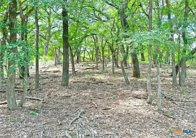 4th image of 1231 Pitchfork Ranch Rd, Copperas Cove, TX 76522 | MLS# 616456