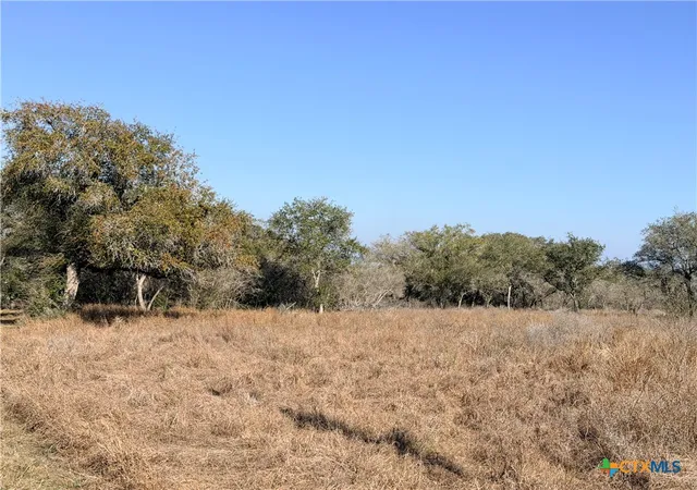 Photo 1 of Land for sale at 1776 Fm 1351, Goliad, TX 77963 | MLS# 616855 | Listing updated on 2026-06-16