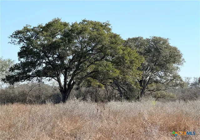 Photo 2 of Land for sale at 1776 Fm 1351, Goliad, TX 77963 | MLS# 616855 | Listing updated on 2026-06-16
