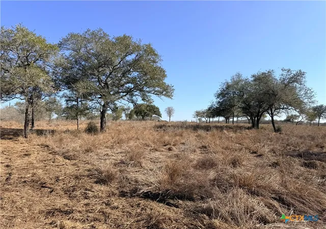 Photo 2 of Land for sale at 1776 Fm 1351, Goliad, TX 77963 | MLS# 616855 | Listing updated on 2026-06-16