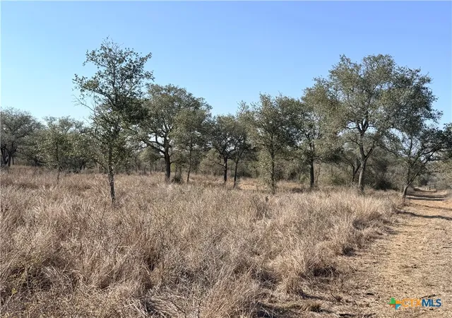 Photo 3 of Land for sale at 1776 Fm 1351, Goliad, TX 77963 | MLS# 616855 | Listing updated on 2026-06-16