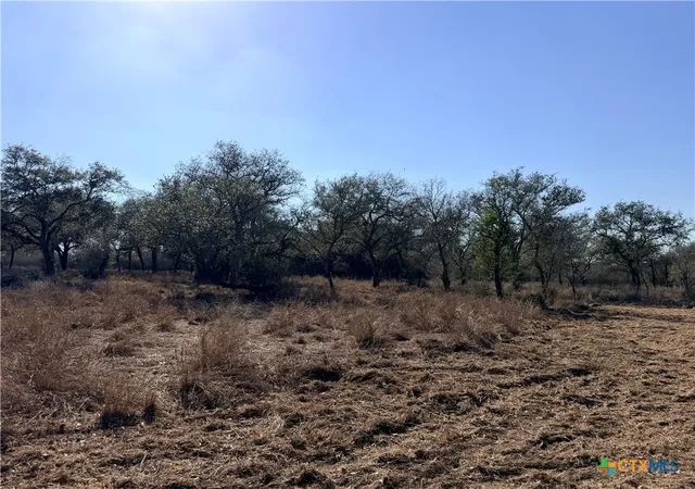 Photo 4 of Land for sale at 1776 Fm 1351, Goliad, TX 77963 | MLS# 616855 | Listing updated on 2026-06-16