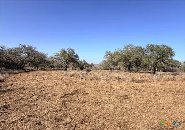 Photo 8 of Land for sale at 1776 Fm 1351, Goliad, TX 77963 | MLS# 616855 | Listing updated on 2026-06-16
