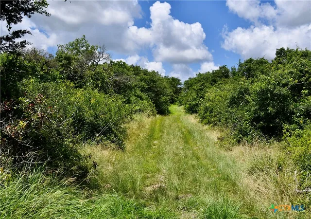 Photo 48 of Land for sale at 16967 Cr 290, Zephyr, TX 76890 | MLS# 616865 | Listing updated on 2026-06-17