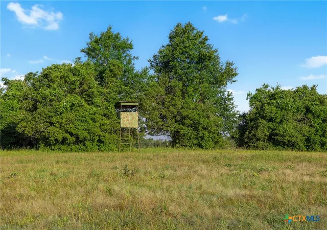 5th image of Tbd Little Mississippi Cemetery Road, Franklin, TX 77856 | MLS# 617008