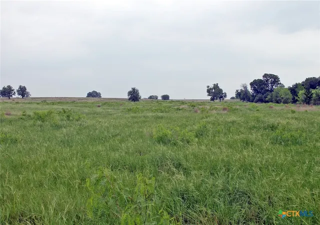 18th image of 000 Brushy Branch Rd, Lockhart, TX 78644 | MLS# 617044
