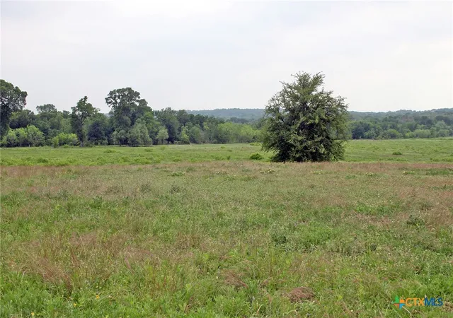 2nd image of 000 Brushy Branch Rd, Lockhart, TX 78644 | MLS# 617044