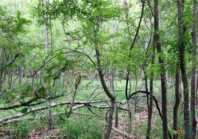 Photo 3 of Land for sale at 000 Brushy Branch Rd, Lockhart, TX 78644 | MLS# 617044 | Listing updated on 2026-06-17