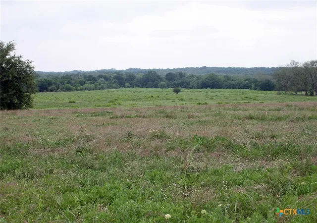 19th image of 00 Brushy Branch Rd, Lockhart, TX 78644 | MLS# 617052