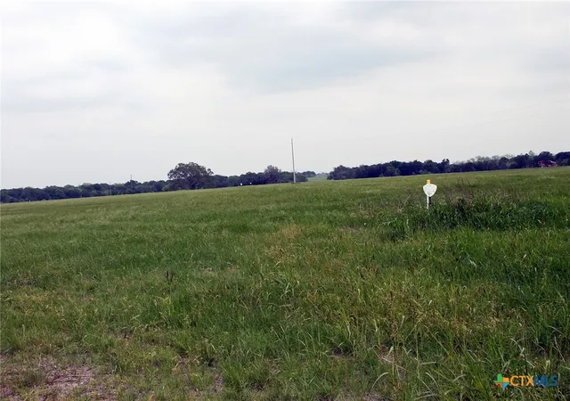 2nd image of 00 Brushy Branch Rd, Lockhart, TX 78644 | MLS# 617052