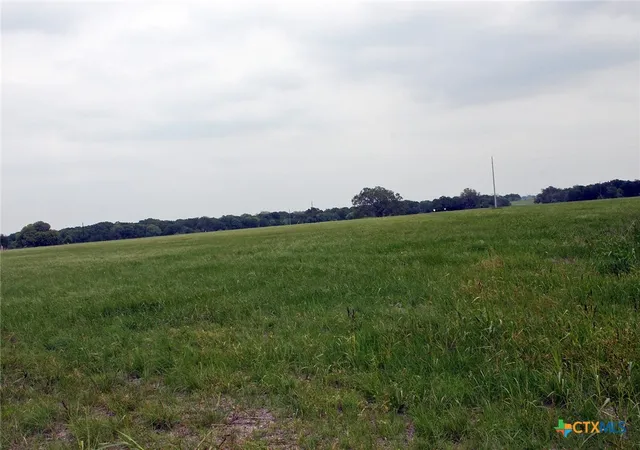 3rd image of 00 Brushy Branch Rd, Lockhart, TX 78644 | MLS# 617052