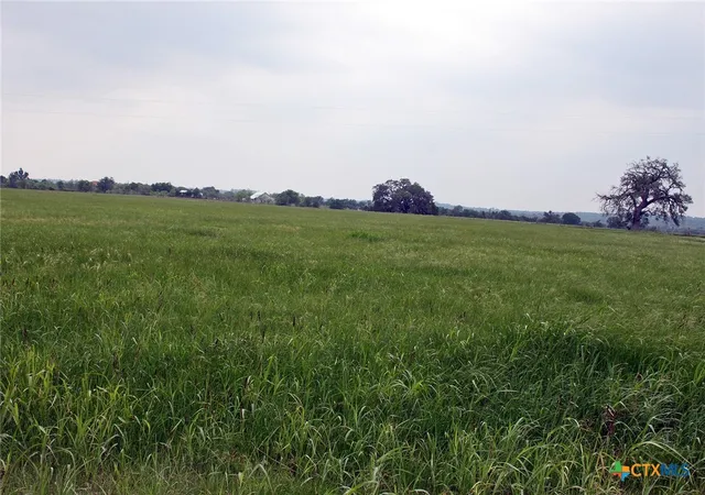 4th image of 00 Brushy Branch Rd, Lockhart, TX 78644 | MLS# 617052