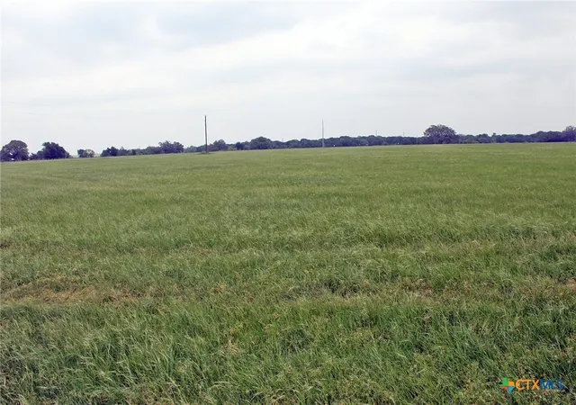 5th image of 00 Brushy Branch Rd, Lockhart, TX 78644 | MLS# 617052