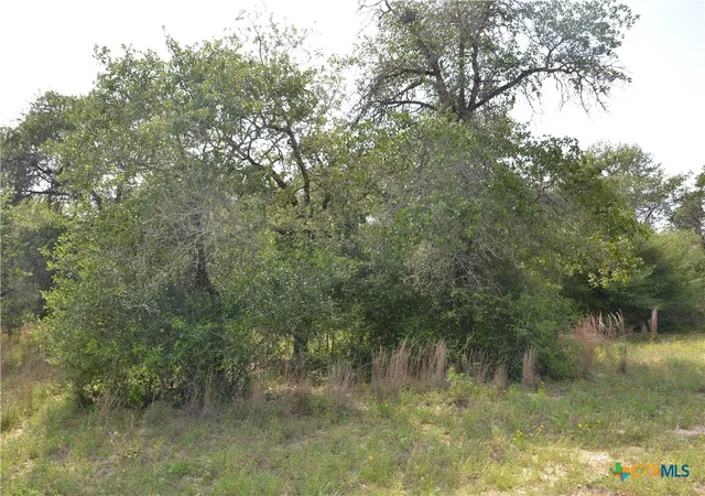 14th image of Lot 66 Powder Ridge Ridge, Luling, TX 78648 | MLS# 615092