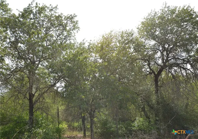 Photo 3 of Land for sale at Lot 66 Powder Ridge, Luling, TX 78648 | MLS# 615092 | Listing updated on 2026-06-17