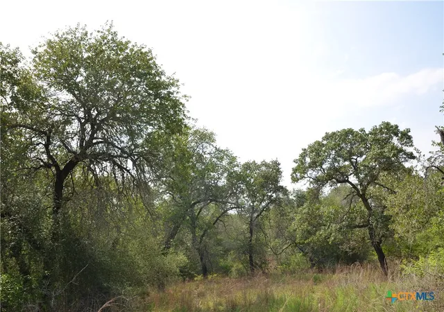 Photo 3 of Land for sale at Lot 66 Powder Ridge, Luling, TX 78648 | MLS# 615092 | Listing updated on 2026-06-17