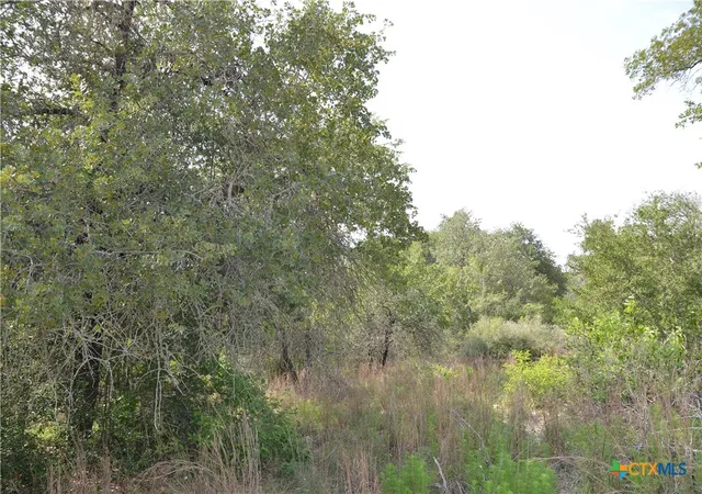 Photo 4 of Land for sale at Lot 66 Powder Ridge, Luling, TX 78648 | MLS# 615092 | Listing updated on 2026-06-17