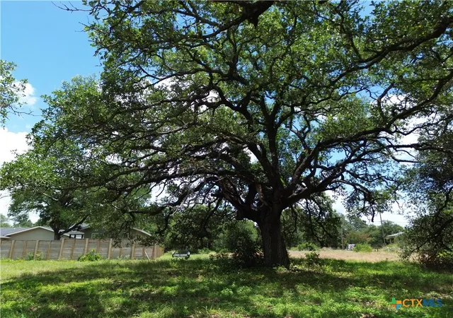Photo 1 of Land for sale at 731 Santa Maria Rd, Salado, TX 76571 | MLS# 616589 | Listing updated on 2026-07-21