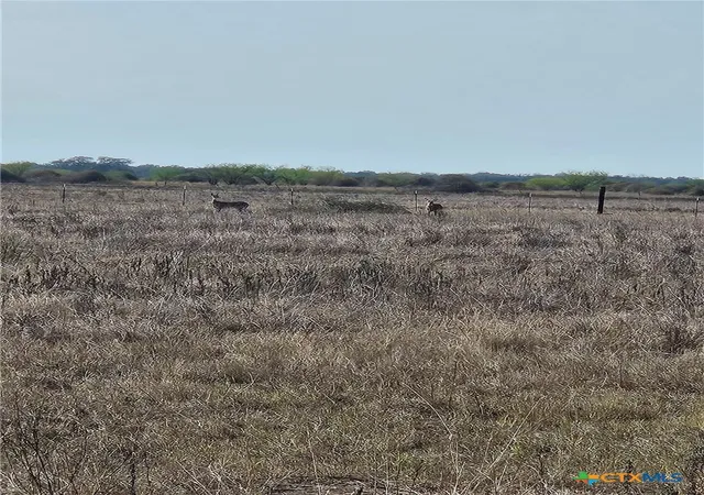 3rd image of 000 County Road 18 3073 Acres Tract 2, Hallettsville, TX 77964 | MLS# 617337