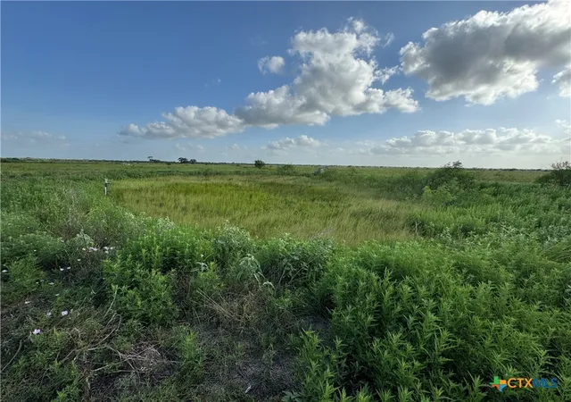 4th image of 000 County Road 18 3073 Acres Tract 2, Hallettsville, TX 77964 | MLS# 617337