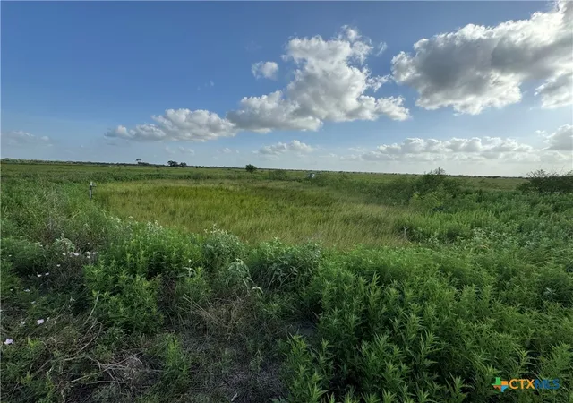 5th image of 000 County Road 18 3073 Acres Tract 2, Hallettsville, TX 77964 | MLS# 617337