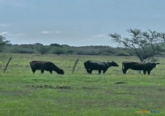 1st image of 000 County Road 18 3073 Acres Tract 3, Hallettsville, TX 77964 | MLS# 617339