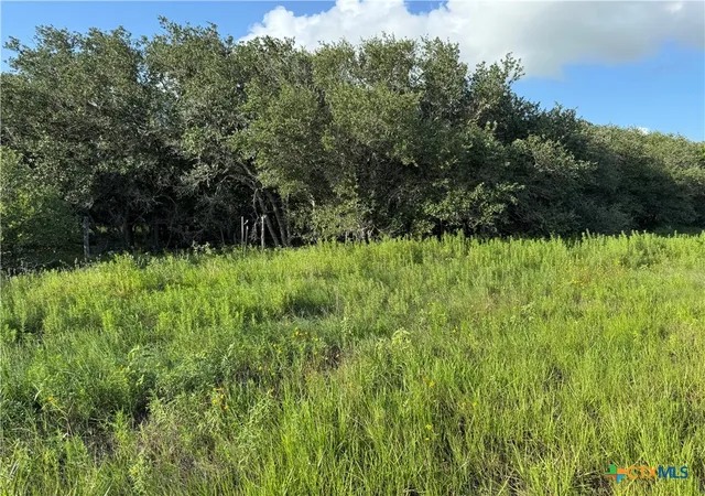 24th image of 000 County Road 18 3073 Acres Tract 3, Hallettsville, TX 77964 | MLS# 617339