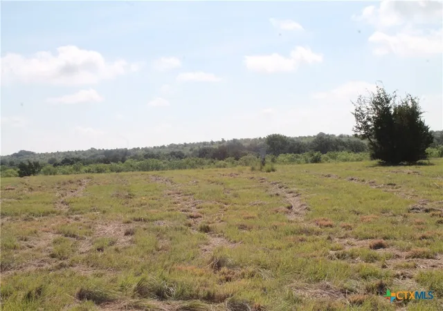 4th image of 688 Comanche Lake Road, Comanche, TX 76442 | MLS# 617358