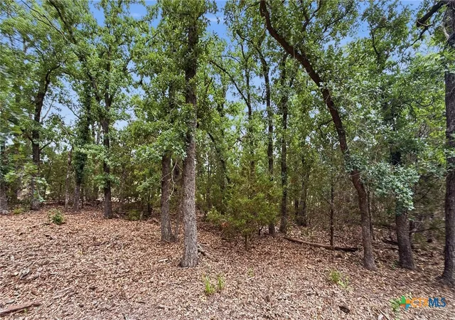 Homes for sale in Evant, TX | Lot 97 Ph 6 Pr 42101, Evant, TX 76566 | MLS# 616932