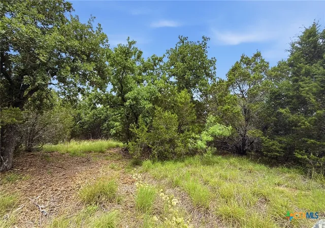 Homes for sale in Evant, TX | Lot 97 Ph 6 Pr 42101, Evant, TX 76566 | MLS# 616932