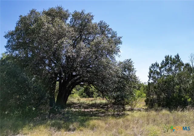 Homes for sale in Evant, TX | Lot 3 Ph 2 Pr 4218, Evant, TX 76525 | MLS# 616931