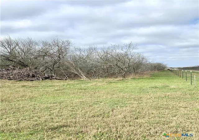Photo 14 of Land for sale at 000 Pierce Rd, Goliad, TX 77963 | MLS# 617449 | Listing updated on 2026-06-20