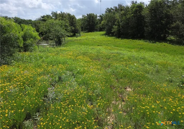 5th image of 000 Hwy 36, Milano, TX 76556 | MLS# 617709