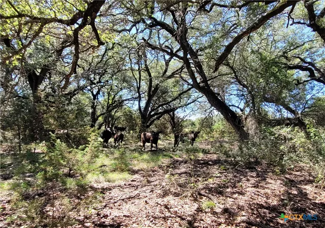 Photo 4 of House for sale at Tbd Cr 1139 575 Acres, Lampasas, TX 76550 | MLS# 617683 | Listing updated on 2026-06-26