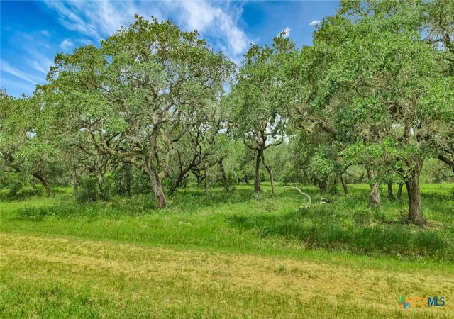 Photo 1 of Land for sale at 000 Fm 444, Inez, TX 77968 | MLS# 617749 | Listing updated on 2026-07-13