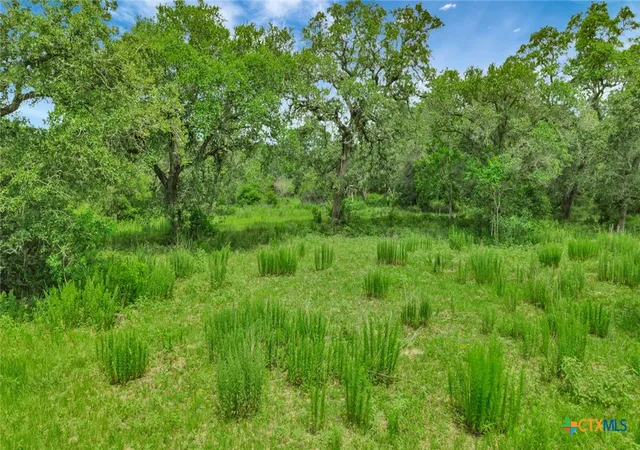 Photo 4 of Land for sale at 000 Fm 444, Inez, TX 77968 | MLS# 617749 | Listing updated on 2026-07-13